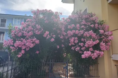 Image de Casa al Mare con Giardino