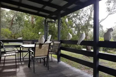 Image de Cockatoo Cabin in Halls Gap