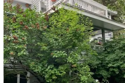 Image de Historic Downtown 2br large Apt near Ocean
