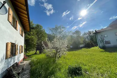 Image de Vacation home for 12 guests with 190m² in Bichlbach (157016)