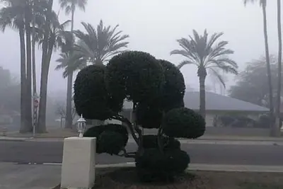 Image de Beautiful Historic Ranch style With diving pool, Fireplace, 5 Star dinning