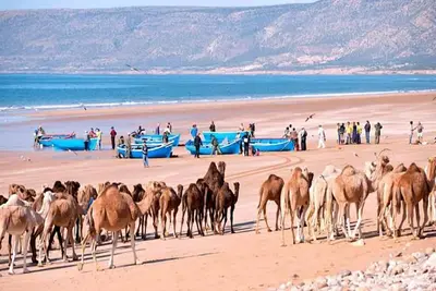 Image de Centre Estivage Imi Ouaddar 5390