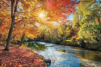 Image de The Lower Hollow House, dip into river in backyard