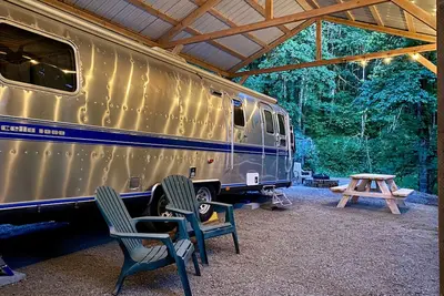 Image de Forest Bathing Retreat