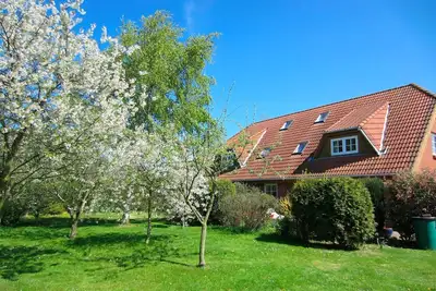 Image de Ferienwohnung/app. für 4 Gäste mit 60m² in Fehmarn Ot Puttgarden