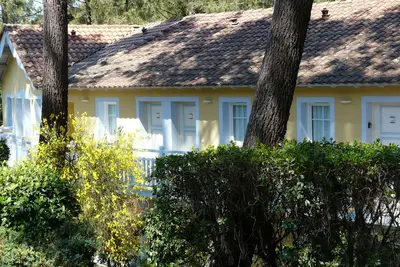 Image de In the middle of the pines, attractive apartment for 2 - 4 people