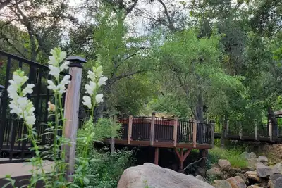 Image de Mountain_View lodge