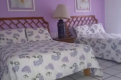 Image de Upscale Old Vallarta 2br Condo with Garden