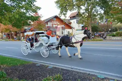 Image de Frankenmuth Getaway, April special. Rent at least 2 nights & get a night free