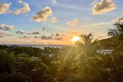 Image de Limetree Tree-Top Guesthouse