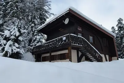 Image de Skis aux pieds, le long des pistes
