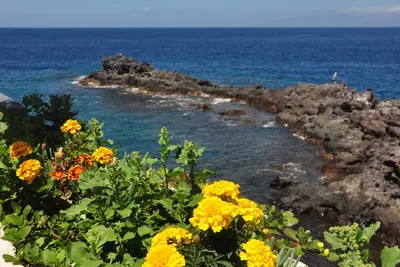 Image de Roof terrace apartment Tenerife