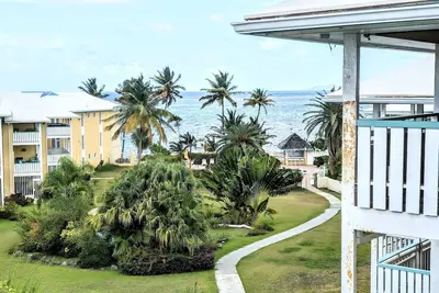 Palm Breezes