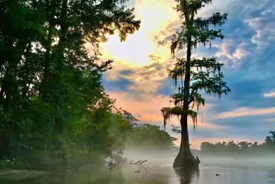 Image de Wakulla River Retreat - a nature lover’s paradise