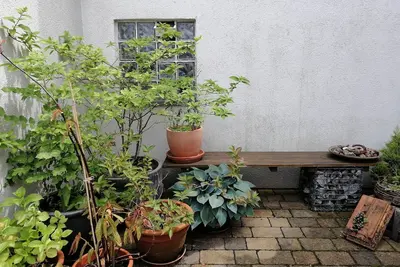 Image de Spacious house with parking lot and green courtyard