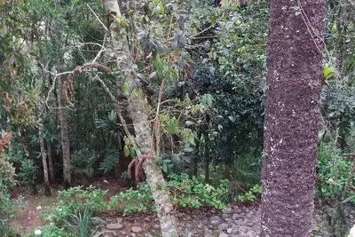 Image de Residentiel Yy Ete Et Hiver Condominium refinement in the mountains with Wi Fi