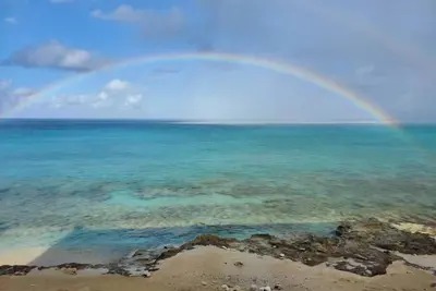 Rainbow Beach Dreams