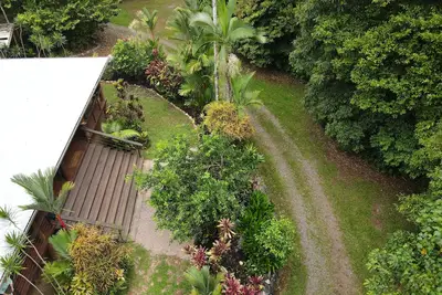 Image de Bowenia Daintree Rainforest Retreat