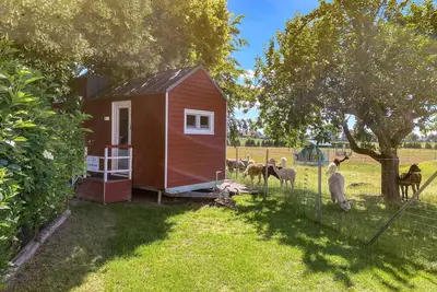 Image de Tiny house on the alpaca farm - Tiny House