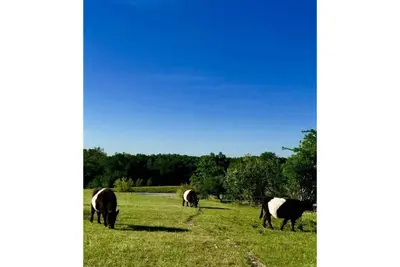 Image de Life on the Ridge, 51 acres of Ranch Living.