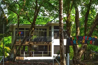 Image de Modern Palo Seco beachfront “treehouse” property