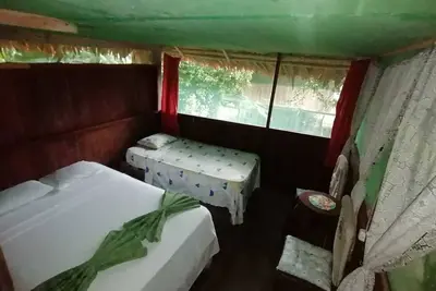 Image de House