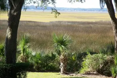 Image de Déménagement à Amelia? Location à long terme avec Marsh Voir sur Plantation