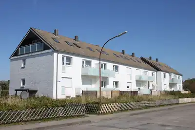 Image de Sls / 910 Herring - Herring