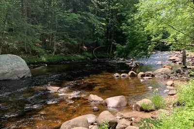 Image de Mountain River Log Cabin on Otter Creek Scenic Natural Soaking Pool