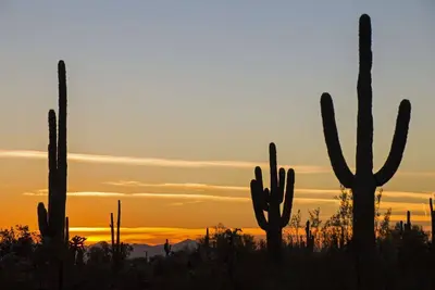 Image de 1st Floor Condo, Perfect Location for Shopping, Dining & Golf! Wifi, Heated Pool & Bbq