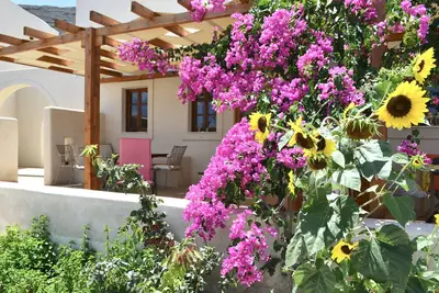 Image de Cactus hideaway with sea views
