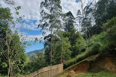 Image de Cottage