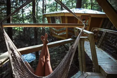 Image de The Looking Glass: A Pair of Mirrored Treehouses