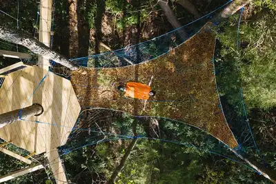 Image de Dome Town: Book all 3 Dome Town Treehouses!