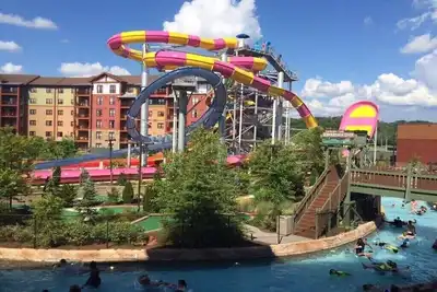 Image de Kids Love this - total entertainment!