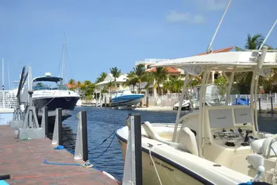 Image de Seabreeze Key Largo Oceanside 4/2 Pool Boat Dock