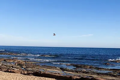 Image de Bastidon de charme T2 au cœur d’une ancienne palmeraie à 100 m de la plage