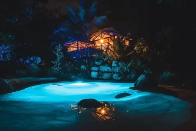 Image de West Indies Cottage ( le tiki \/ tiki tree house)