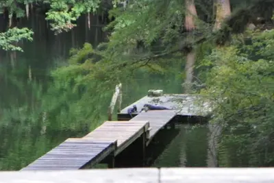 Image de Ichetucknee River - Riverfront on the Crystal Clear Ichetucknee River