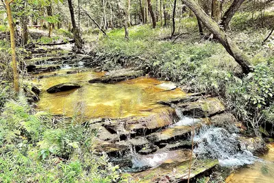 Image de Ky Creek Cabin - Dahlonega's Hidden Gem! 2 acres on Creek\/Firepit\/Awesome deck!