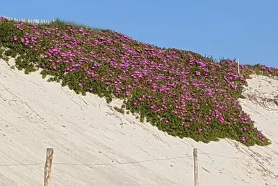 Image de Spacious neo Breton 1 km from the beach
