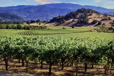 Image de Cozy Private Studio Resort in the heart of Napa Valley for 6