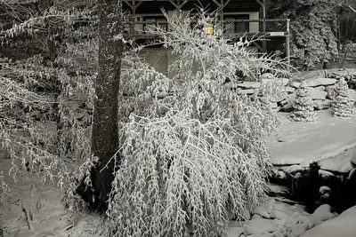 Image de True Ski-in Ski-out Luxury Rental Home on Beech Mountain
