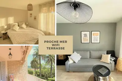 Image de Palmiers bord de mer