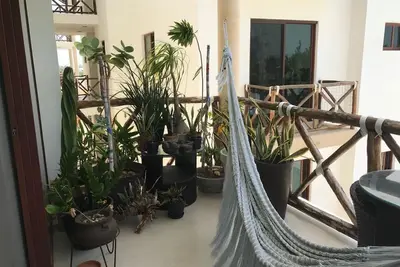 Cozy two bedroom apartment 50m from the beach