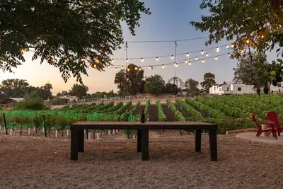 Image de Vitara Vineyard, a Modern Farmhouse in the Heart of Wine Country