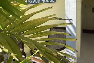 Image de Steps From The Beach