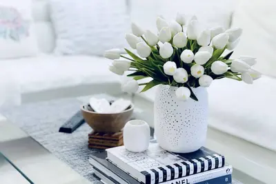 Image de The Stargazer | Executive Suite | Urban Oasis