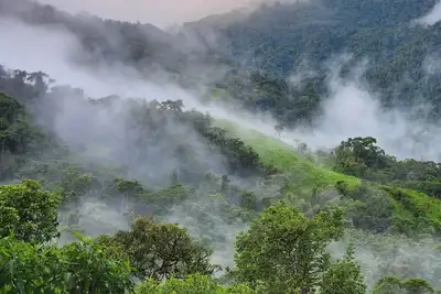 Cloud forest retreat