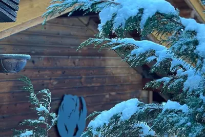 Image de Chalet De L'Ours avec Spa, terrasse et proximité pistes